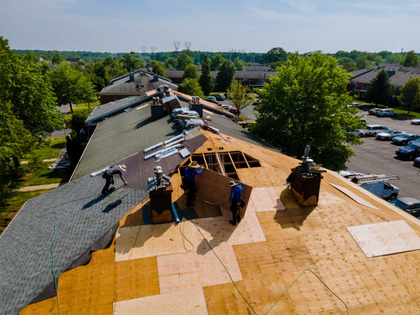 Best Flat Roof Repair Services  in Springfield, GA