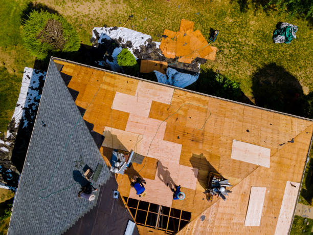 Roof Repair Estimates in Springfield, GA