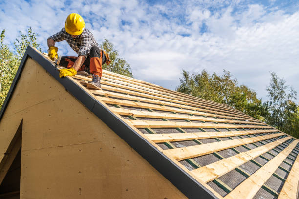 Gutter Installation and Roofing in Springfield, GA