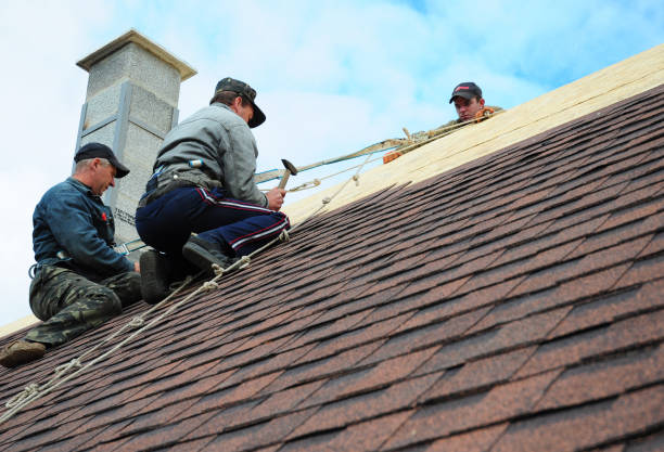 Best Storm Damage Roof Repair  in Springfield, GA