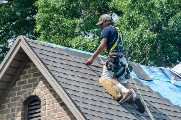 Best Gutter Installation and Roofing  in Springfield, GA