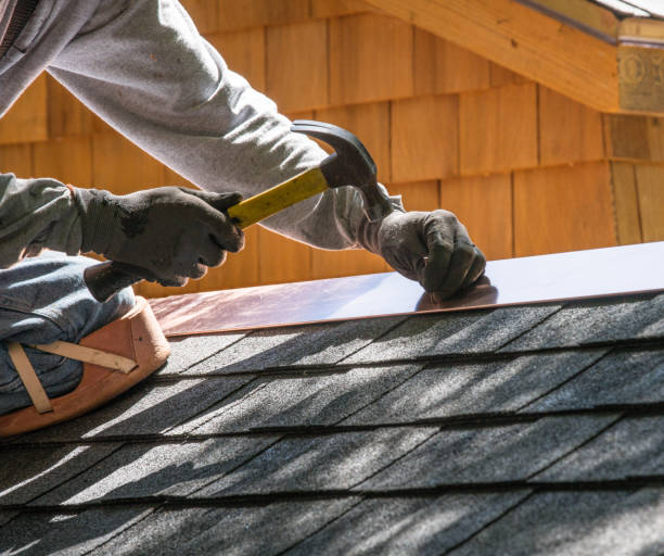 Roof Gutter Cleaning in Springfield, GA